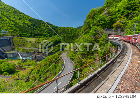 渓谷をゆっくりと走る日本で唯一のアプト式列車 井川線 絶景 車窓 渓谷をゆっくりと走る日本で唯一のアプト式列車 井川線 絶景 車窓 125948184