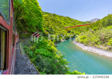 渓谷をゆっくりと走る日本で唯一のアプト式列車　井川線　絶景　車窓　 125948186