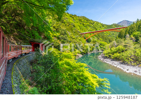 渓谷をゆっくりと走る日本で唯一のアプト式列車　井川線　絶景　車窓　 125948187