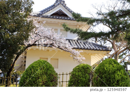 お堀に咲く桜と土浦城の楼閣 125948597