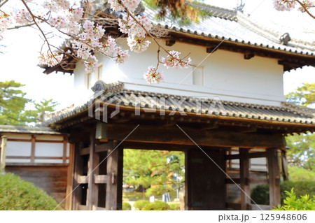 桜と土浦城の表門 桜と土浦城の表門 125948606