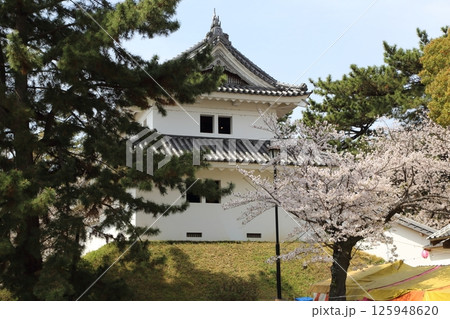 桜の間から見える天守閣 桜の間から見える天守閣 125948620