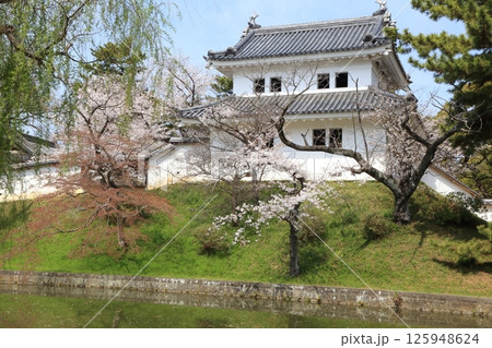 お堀に咲く桜と土浦城の楼閣 125948624