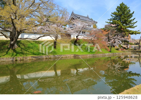 お堀に咲く桜と土浦城の楼閣 125948628