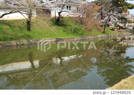 お堀に咲く桜と土浦城の楼閣 125948629