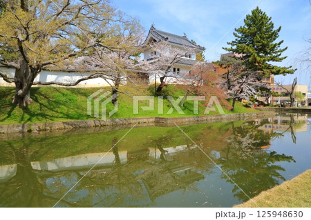 お堀に咲く桜と土浦城の楼閣 125948630