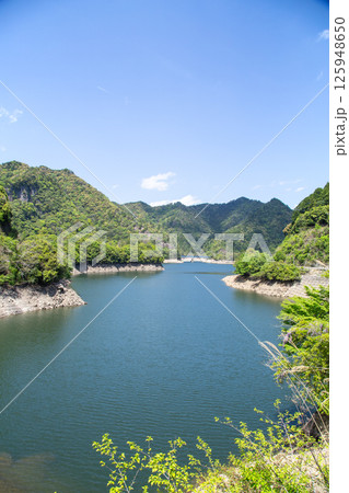 朝霧湖　大島ダム（愛知県新城市） 125948650