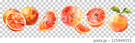 Set of fresh tropical fruit, Grapefruit in watercolor style isolated on a transparent background. 125949355