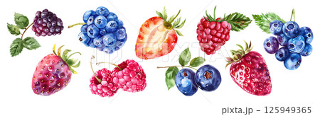 Set of fresh fruit, Mixed berries in watercolor style isolated on a transparent background. 125949365
