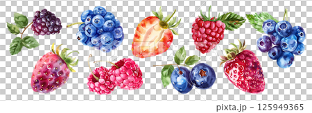 Set of fresh fruit, Mixed berries in watercolor style isolated on a transparent background. 125949365