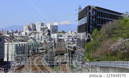 東京科学大（旧東工大）大岡山キャンパス内にある「東京冨士見坂」から見た富士山、東急の電車、アップ 125949570