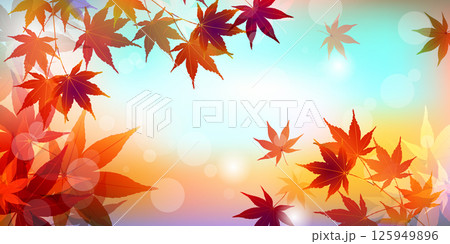 紅葉 もみじ 秋 背景 紅葉 もみじ 秋 背景 125949896