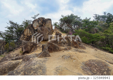 湖南アルプスの山道 湖南アルプスの山道 125949941
