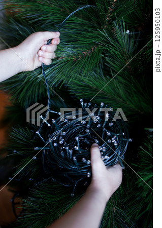 Child unraveling Christmas lights on pine tree for holiday decoration Child unraveling Christmas lights on pine tree for holiday decoration 125950103