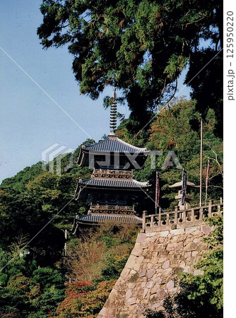 安来市にある清水寺 三重塔 安来市にある清水寺 三重塔 125950220