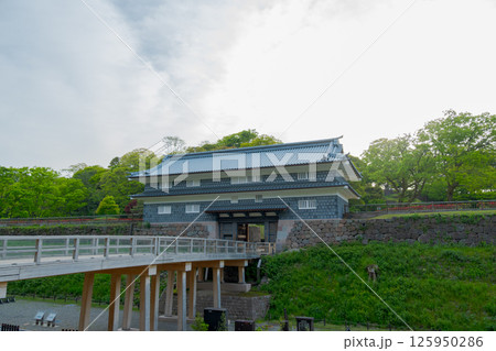 金沢城公園にある復元された鼠多門・鼠多門橋（5月撮影） 125950286
