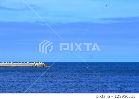 三陸復興国立公園 みちのく潮風トレイル 《青森県》 三陸復興国立公園 みちのく潮風トレイル 《青森県》 125950313