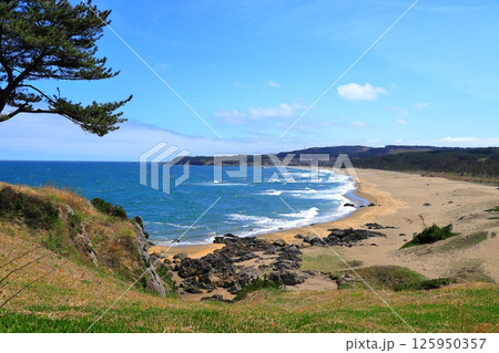 三陸復興国立公園　みちのく潮風トレイル　《青森県》 125950357