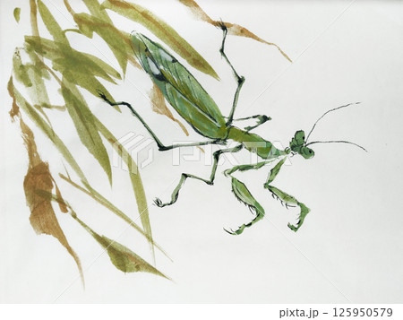 Chinese ink brushstroke style painting of a green grasshopper Chinese ink brushstroke style painting of a green grasshopper 125950579
