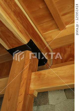 （金沢城）5101433 125951414