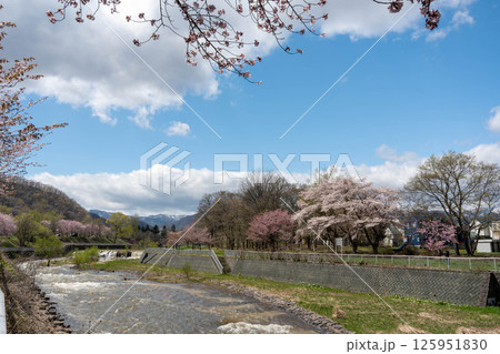 桜咲く春の風景 125951830
