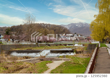 桜と川のある風景 桜と川のある風景 125952360