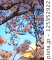 春の桜の木のある通学路 125952922