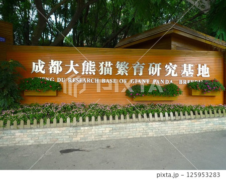 成都のジャイアントパンダ繁殖研究基地 125953283