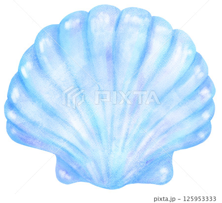 Pastel Blue Clam Sea Shell Watercolor Seashell Pastel Blue Clam Sea Shell Watercolor Seashell 125953333