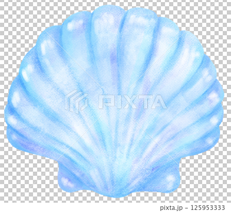 Pastel Blue Clam Sea Shell Watercolor Seashell Pastel Blue Clam Sea Shell Watercolor Seashell 125953333