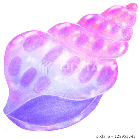 Pastel purple and pink  gradient Conch Sea Shell  Watercolor Seashell 125953343