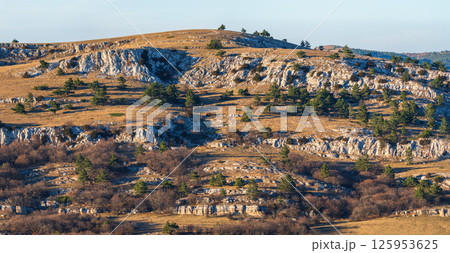 Limestone hills with scattered pine trees in evening light Limestone hills with scattered pine trees in evening light 125953625