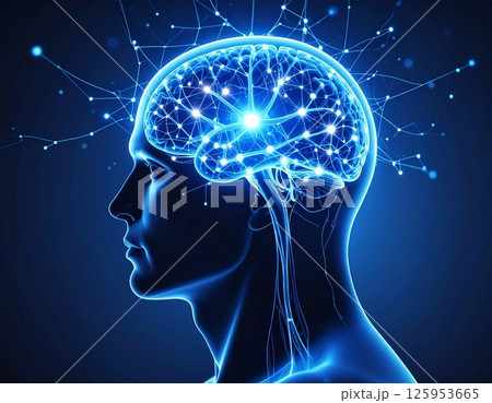 人間の脳のネットワークイメージ 人間の脳のネットワークイメージ 125953665