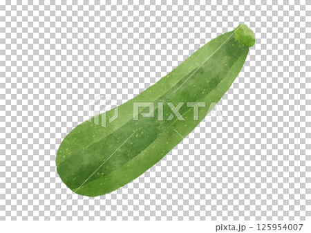 水彩風の緑色のズッキーニのイラスト 125954007