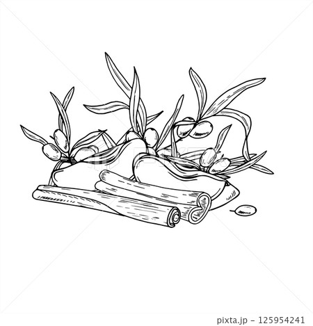 Sea buckthorn branches, cinnamon sticks and apple slices vector composition in minimalist black and white style. Autumn harvest illustration for bakery packaging, seasonal cafe menus, product label. Sea buckthorn branches, cinnamon sticks and apple slices vector composition in minimalist black and white style. Autumn harvest illustration for bakery packaging, seasonal cafe menus, product label. 125954241