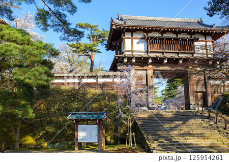 清々しい朝を迎えた千秋公園　桜と表門　秋田市 125954261