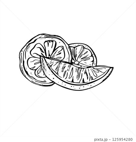 Three fresh lime or lemon slices vector illustration in outline black and white style. Summer juicy citrus fruit for cocktail menus, healthy food packaging and minimalist kitchen design 125954280
