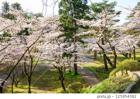 清々しい朝を迎えた春の千秋公園 秋田市 清々しい朝を迎えた春の千秋公園 秋田市 125954382
