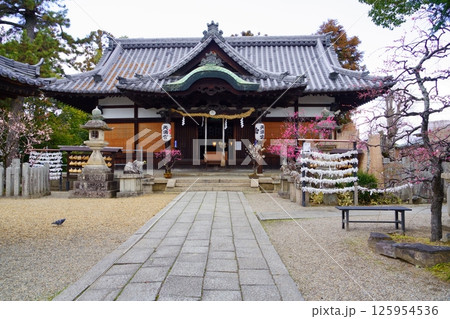 奈良・菅原神社盆梅展の日7 125954536