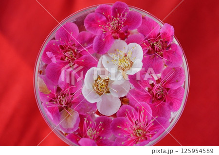 奈良・菅原天満宮のはなちょうず 125954589