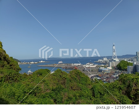 くりはま花の国から見下ろす久里浜港 くりはま花の国から見下ろす久里浜港 125954607