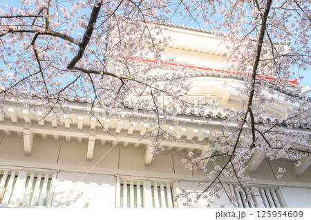 爽やかな朝　桜と御隅櫓　秋田市千秋公園 125954609