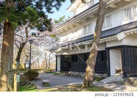 爽やかな朝 桜と御隅櫓 秋田市千秋公園 爽やかな朝 桜と御隅櫓 秋田市千秋公園 125954628