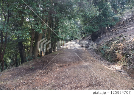 こもれ陽感じる緑の葉の木々の森の山の山道の風景 125954707