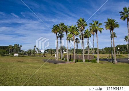 【藤沢市】辻堂海浜公園 【藤沢市】辻堂海浜公園 125954824