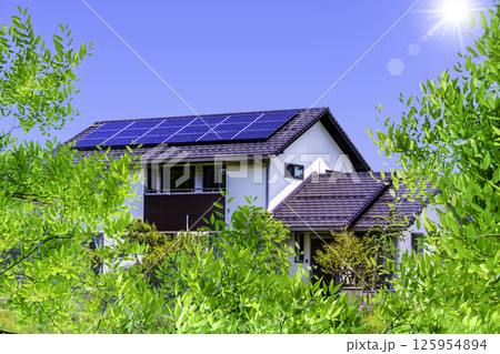エコイメージ＿新緑と空とエコハウスと太陽 125954894