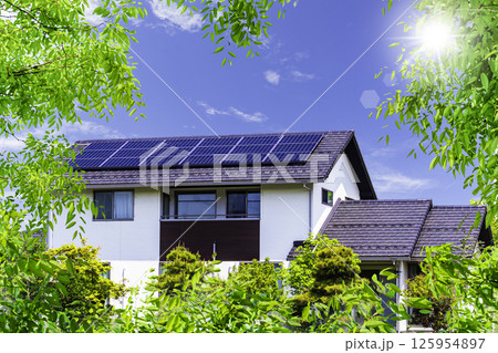エコイメージ＿新緑と空とエコハウスと太陽 125954897