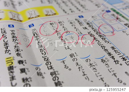 国語テスト ☆mar_lapin 国語テスト ☆mar_lapin 125955247