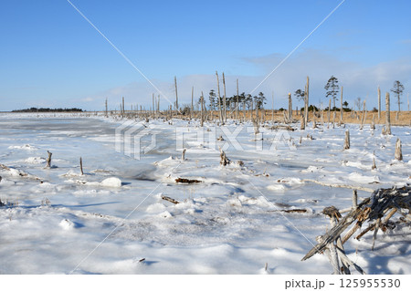 北海道根室春国岱の冬景色 北海道根室春国岱の冬景色 125955530