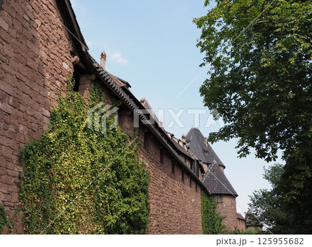Monumental walls of Koenigsbourg castle in Orschwiller in France 125955682